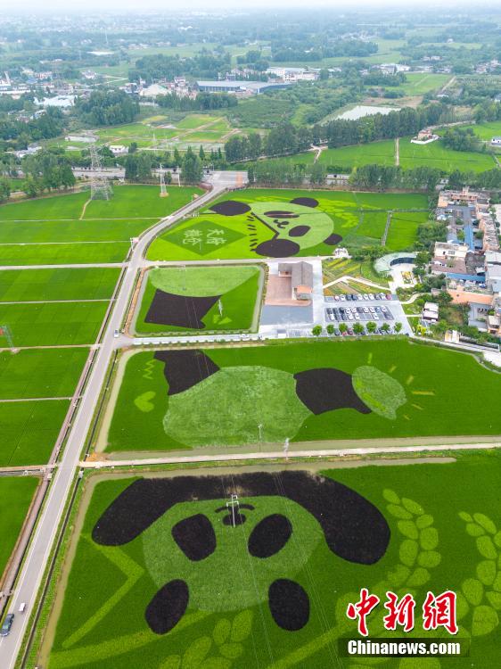 ??????: ????? ?????? ?????