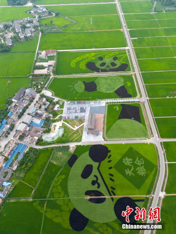 ??????: ????? ?????? ?????