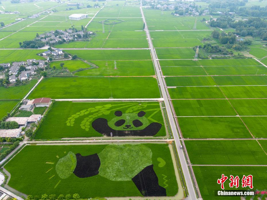 ??????: ????? ?????? ?????