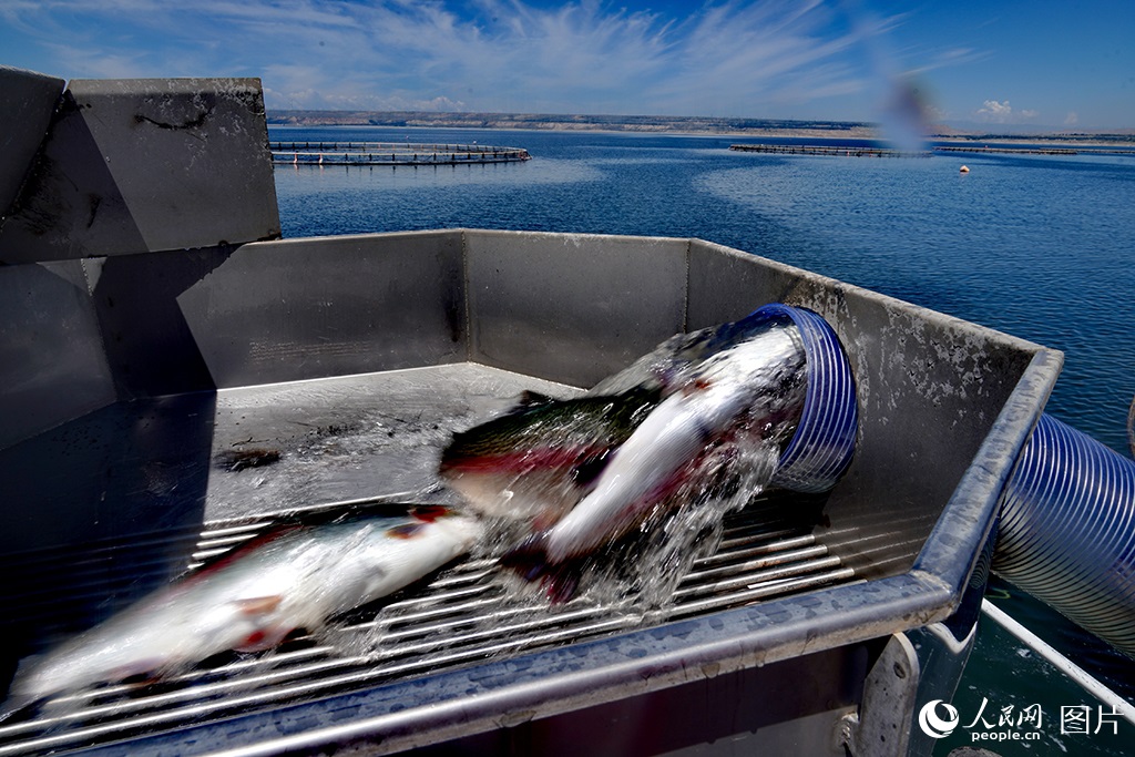 ???? ???????????? ???? ????? ??????? ?? ???? ?????