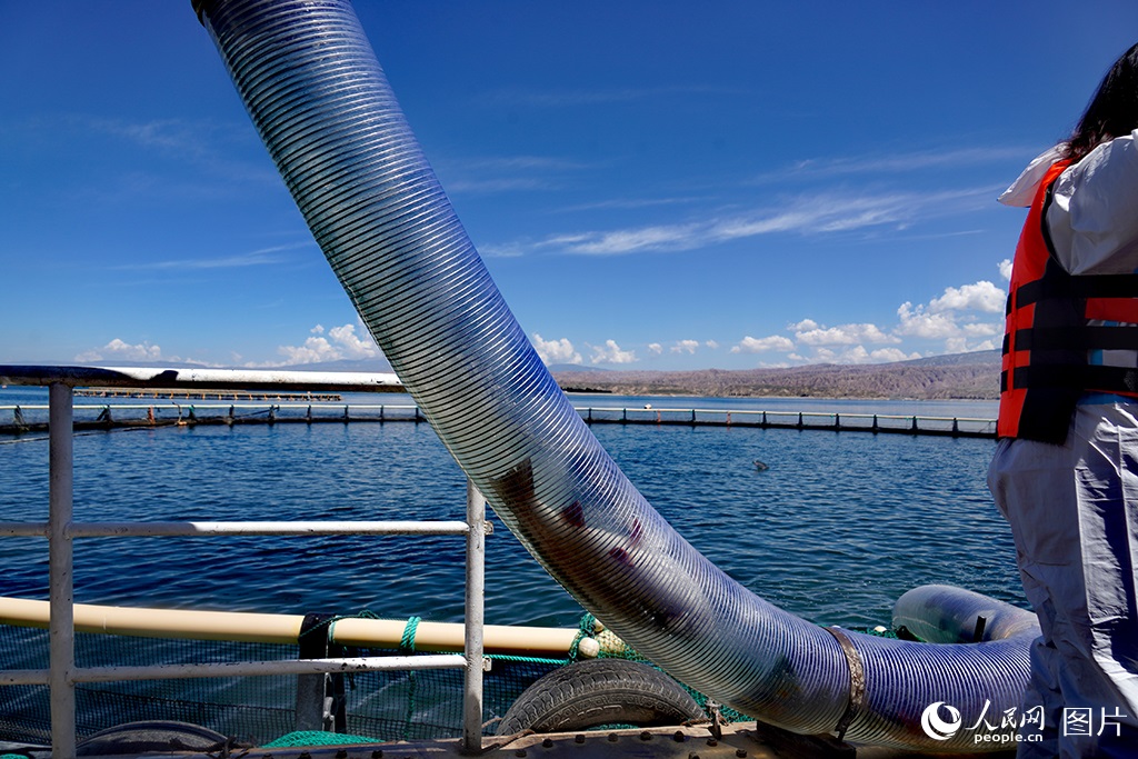 ???? ???????????? ???? ????? ??????? ?? ???? ?????