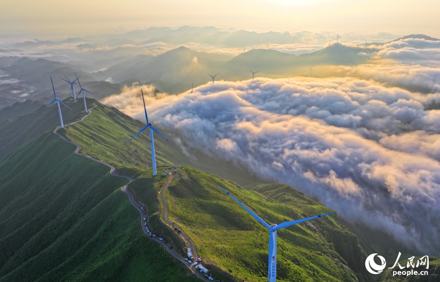 ???????: ?????????? ???????? ????? ??? ???? ?????? ?????