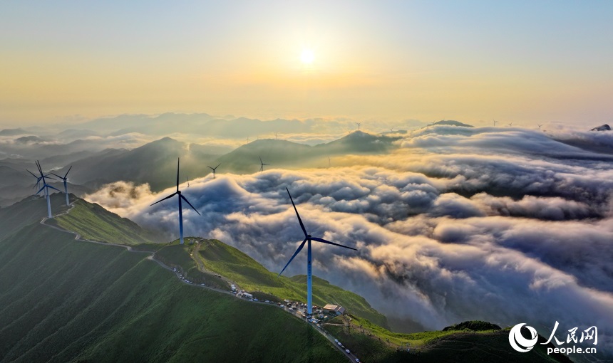 ???????: ?????????? ???????? ????? ??? ???? ?????? ?????