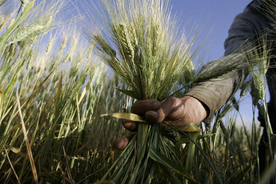 ??????? ???????? ?????? ??????? ?????? ????? ????? ????? 420 ????? ????