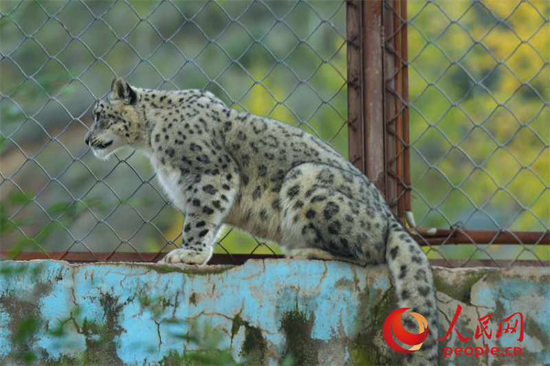 ????? ?????? ?????? ????????? ???? ???? ?? 2000 ?????