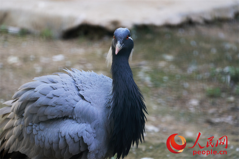 ????? ?????? ?????? ????????? ???? ???? ?? 2000 ?????