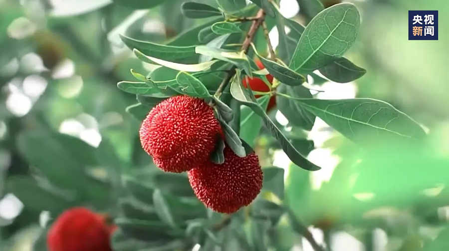 60 ????/????? ?? ???... ????? ??????? ???? ???? ???? ????? ??? ?????? ??????? ???????