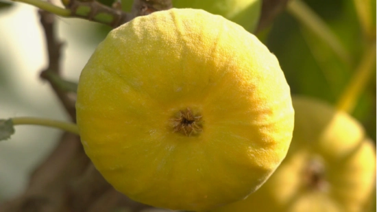 ?????? ????? ?? ???????? ???????? ?????? ??? ??? ?????