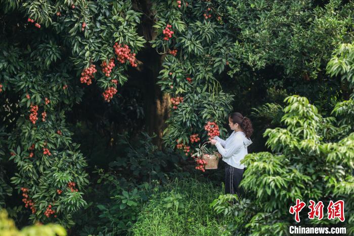 ??????? ????? ???? 50 ????? ?? ????? ??????? ??? ?????