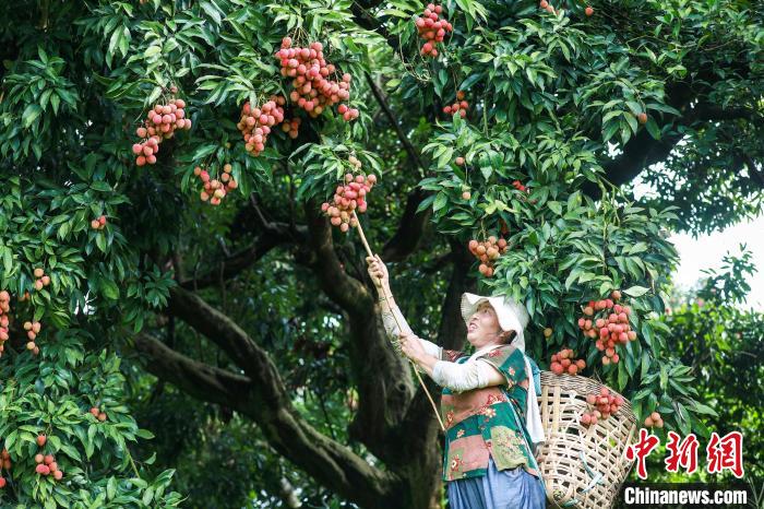 ??????? ????? ???? 50 ????? ?? ????? ??????? ??? ?????