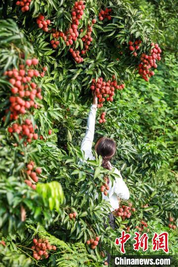 ??????? ????? ???? 50 ????? ?? ????? ??????? ??? ?????