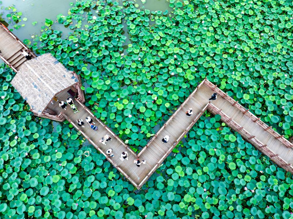 ??????: ???? ??????? ??????? ?? ?????