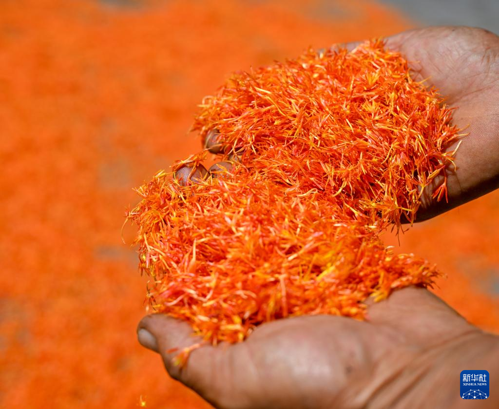 ??????? ??????? ???? ??? ????? ????????? ?? ???? ???? ??????? ?? ????????