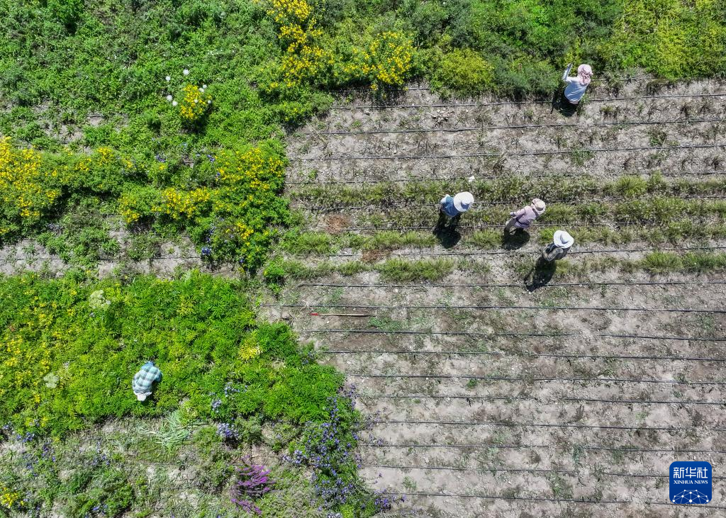 ??????? ??????? ???? ??? ????? ????????? ?? ???? ???? ??????? ?? ????????