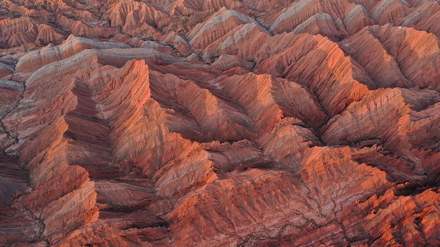 ???? ?????? ??????? ???? ???? ?????????