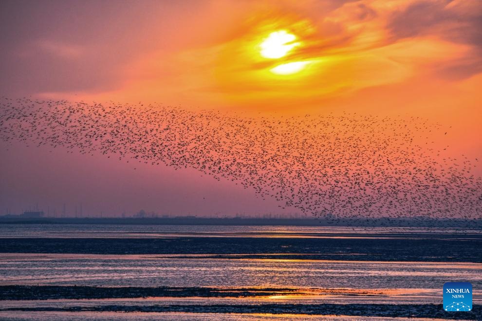 ????? ?????? ????? ????? ?????? ???????? ??? ????? ???????? ?????? ???????