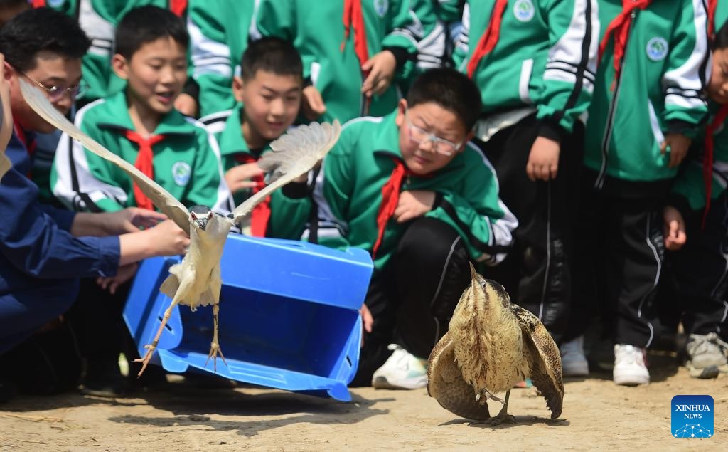 ????? ?????? ????? ????? ?????? ???????? ??? ????? ???????? ?????? ???????