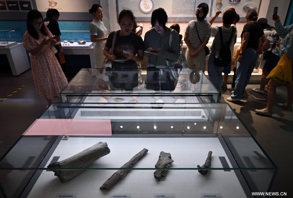 ?????? ?????? ??????? ????? ????????? ?? ????? ?????