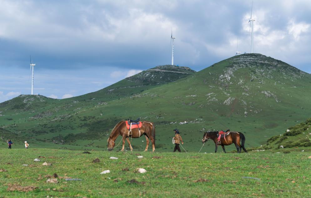 ?????? ??????? ?????????? ??