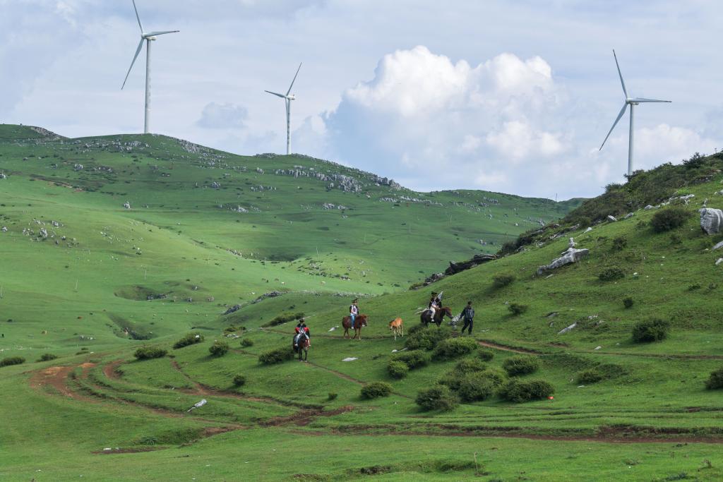 ?????? ??????? ?????????? ??