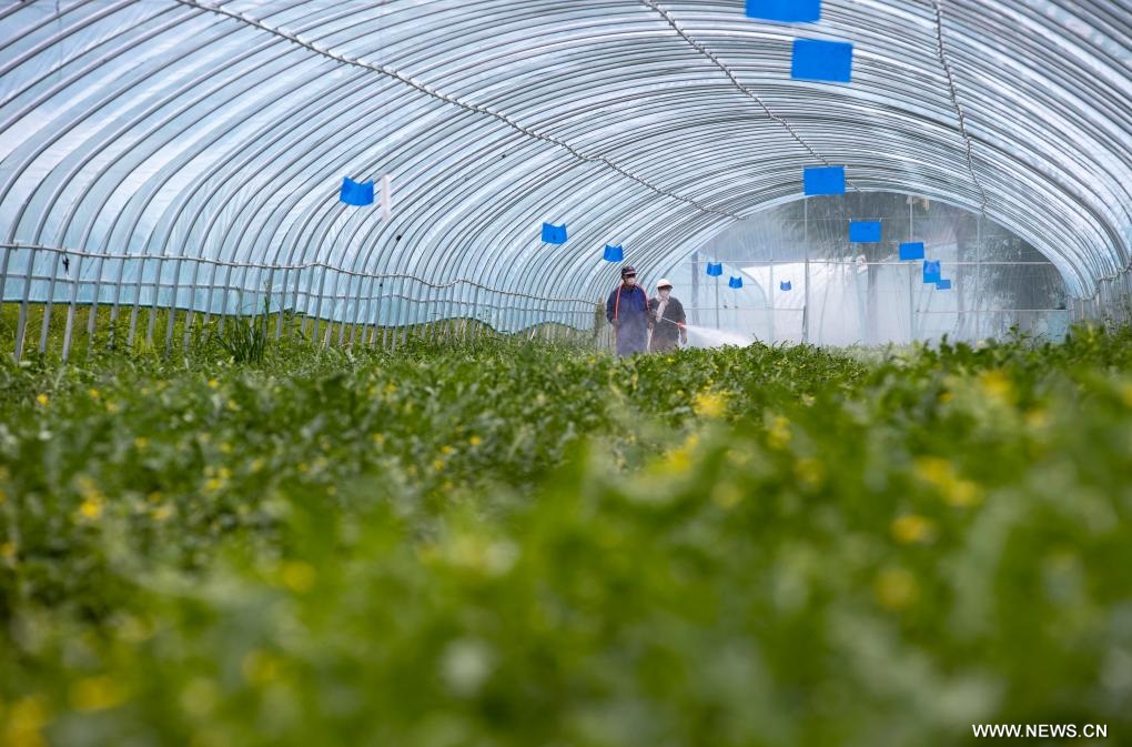 ????? ????? ??????? ?? ???? ???? ?????