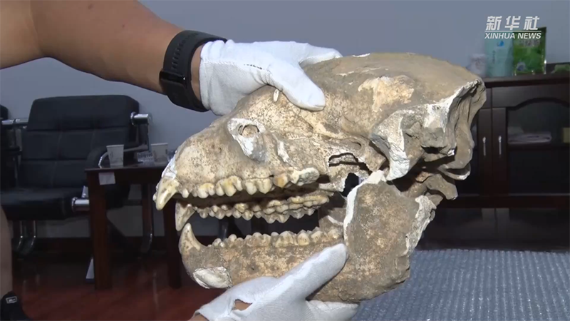 ???? ??? ?? ?????? ????: ?????? ????? ????? ?????? ????? ????? ?? ???????