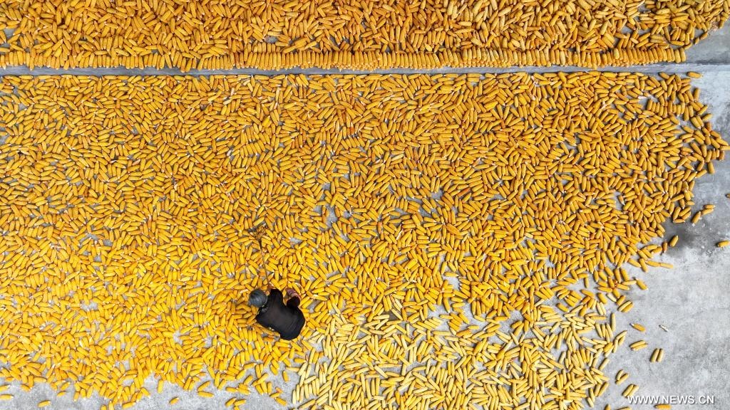 ????? ?????? ?????? ?? ??? ????? ?????