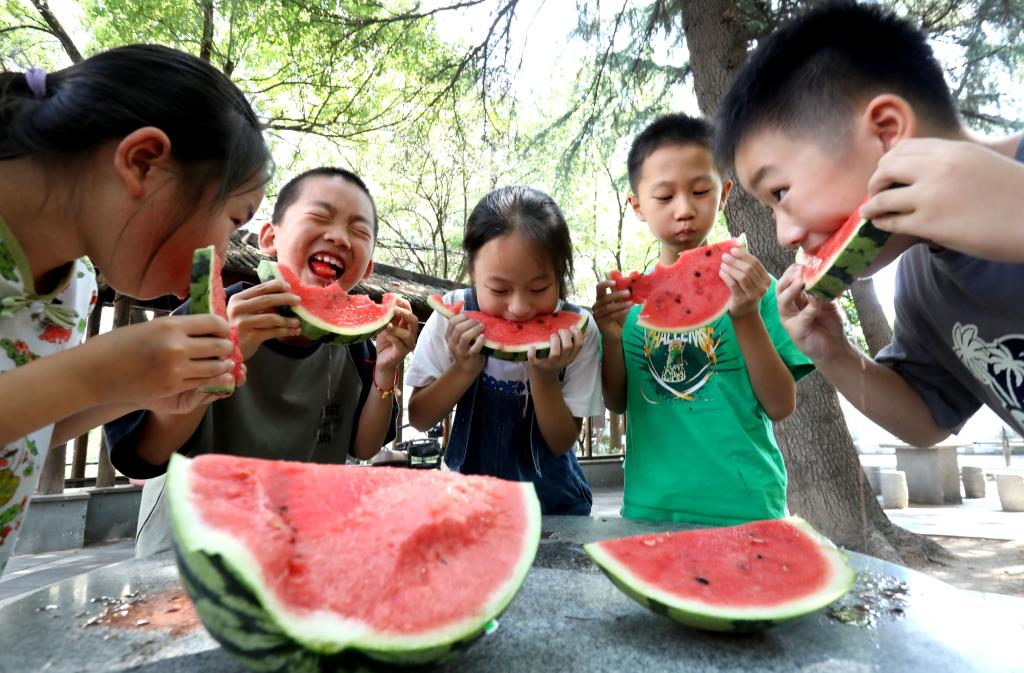 ???????? ???????? ?????? ?????? ??????