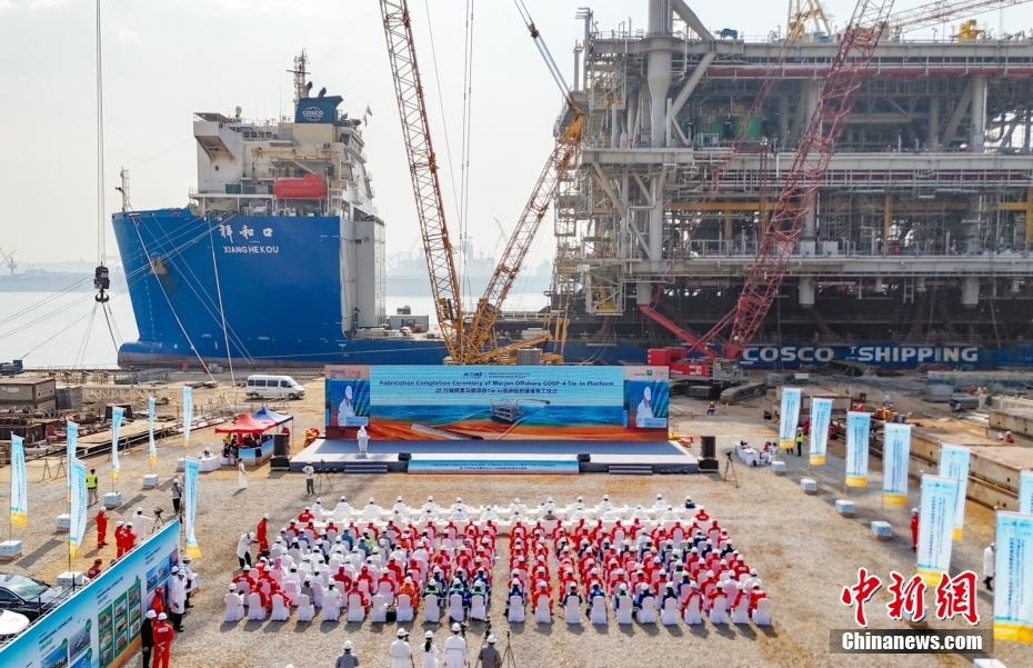 ????? ???? ???? ???? ????? ?????? ??????? ??????? ??? ?????? ????????