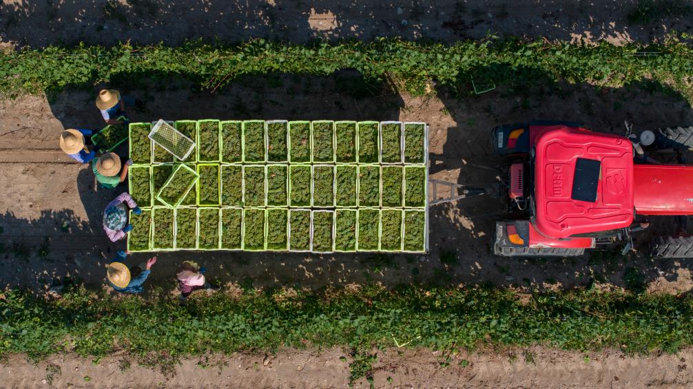 ???? ??? ?????? ?????? ?? ????? ??????? ???????