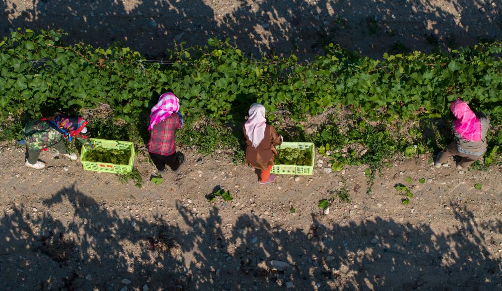 ???? ??? ?????? ?????? ?? ????? ??????? ???????