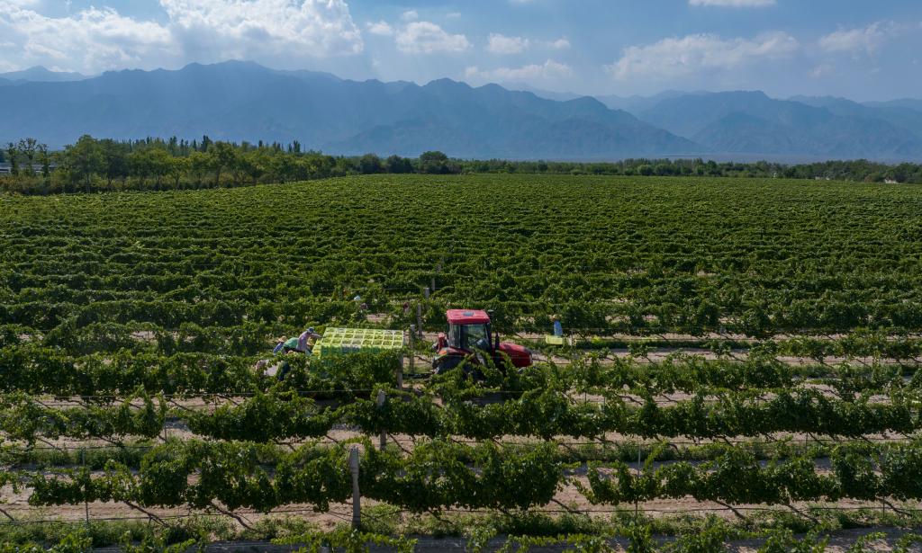 ???? ??? ?????? ?????? ?? ????? ??????? ???????