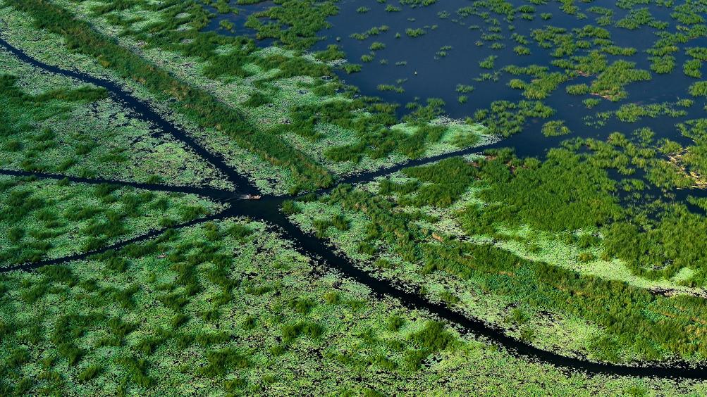 ????? ????? ?? ??????? ?????? ????? ?????