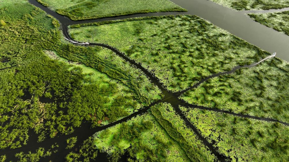 ????? ????? ?? ??????? ?????? ????? ?????