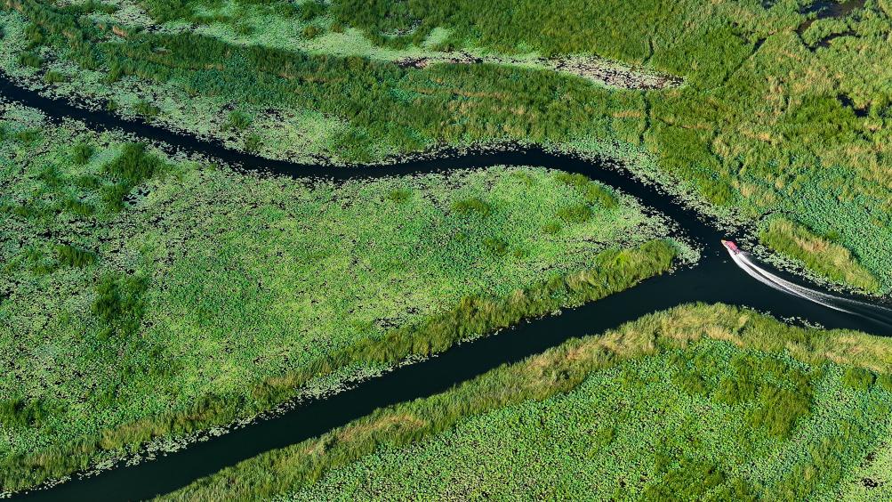 ????? ????? ?? ??????? ?????? ????? ?????