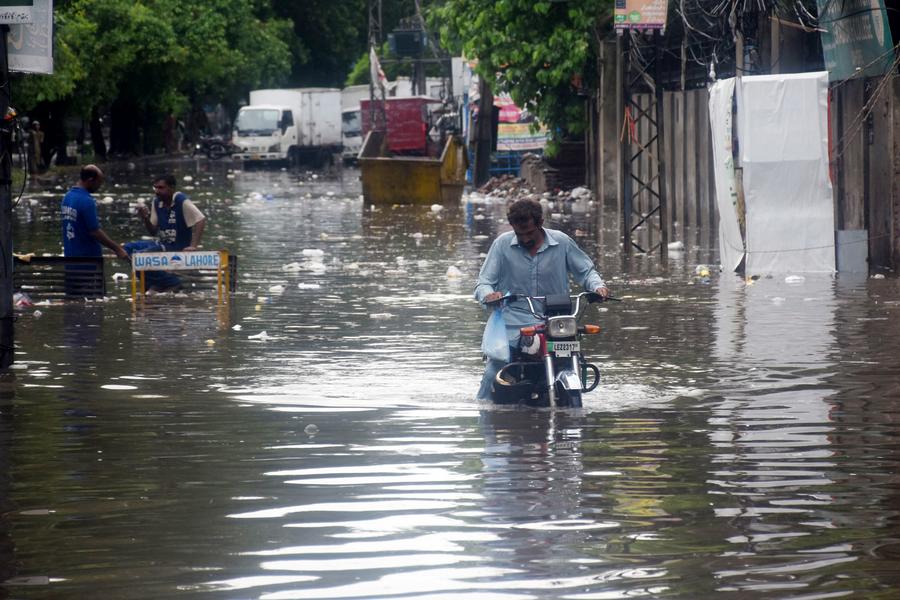 ???? 187 ???? ?????? 333 ????? ???? ??????? ???????? ?????????? ???????? ?? ???????