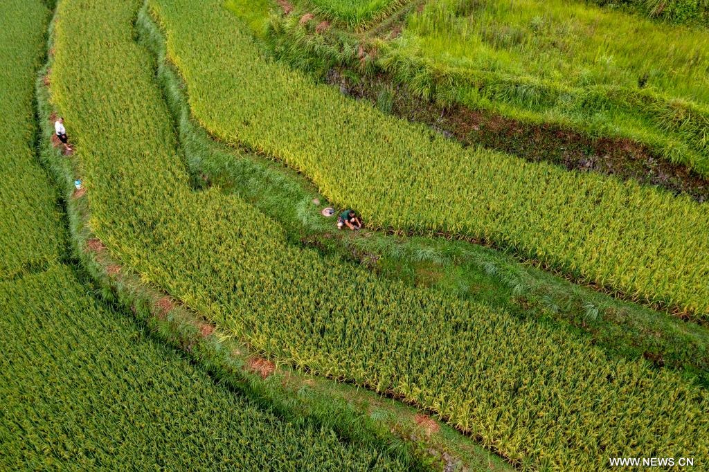 ???? ???? ??????? ?? ?????? ?????? ???????