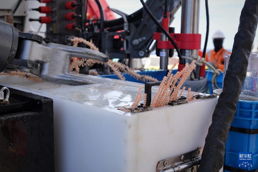 ????? ????? ?????? ?????? ?????? ???? ????? ????? ??? 300