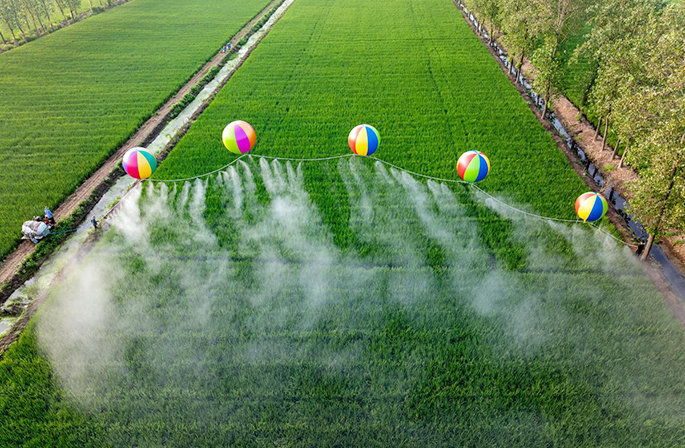 ???????? ???????: ???? ????? ?????? ?????????? ????? ??? ??????? ?????? ?????