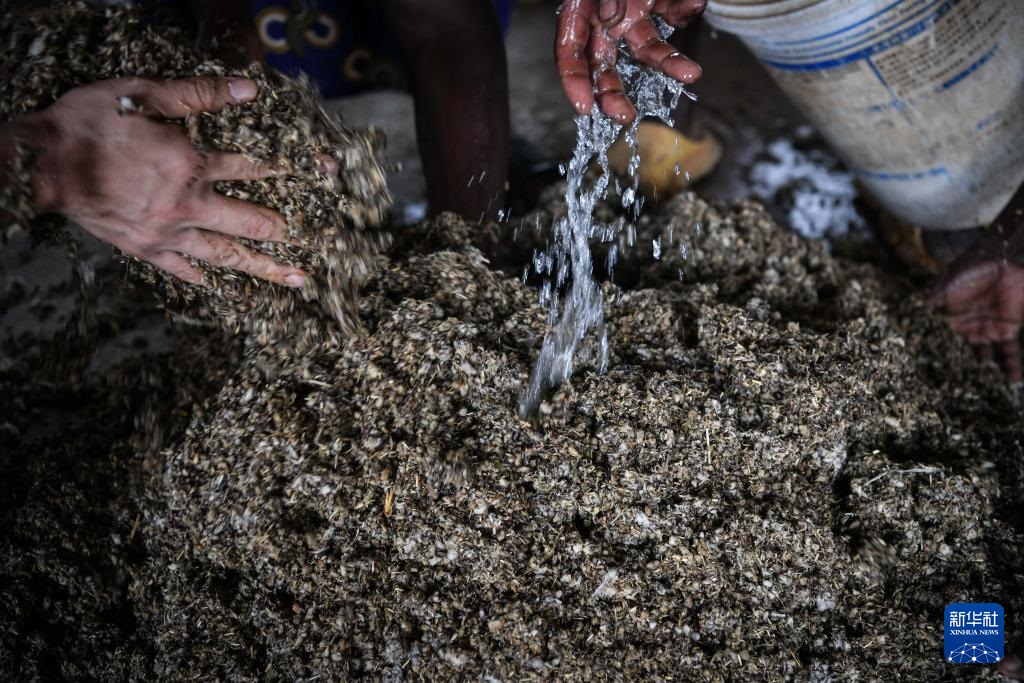 ??????? ?????? ???????? ??????????? ???????? ??????? ??? ????? ???????