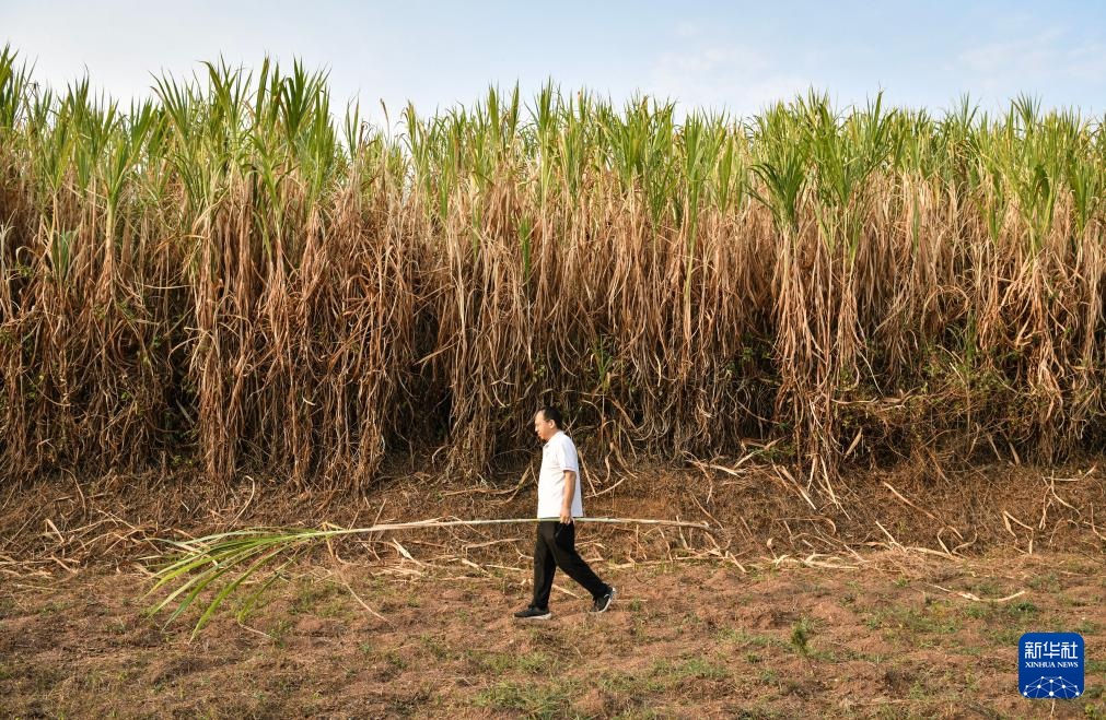 ??????? ?????? ???????? ??????????? ???????? ??????? ??? ????? ???????