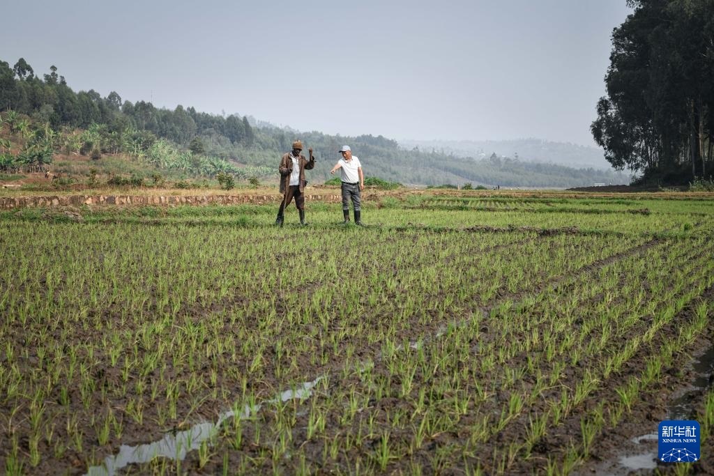 ??????? ?????? ???????? ??????????? ???????? ??????? ??? ????? ???????