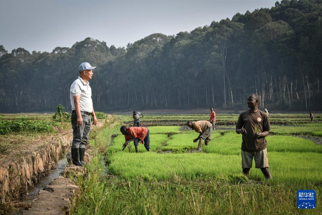 ??????? ?????? ???????? ??????????? ???????? ??????? ??? ????? ???????