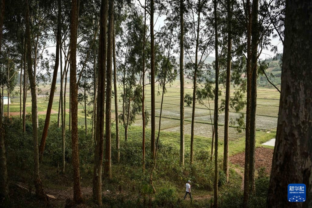 ??????? ?????? ???????? ??????????? ???????? ??????? ??? ????? ???????