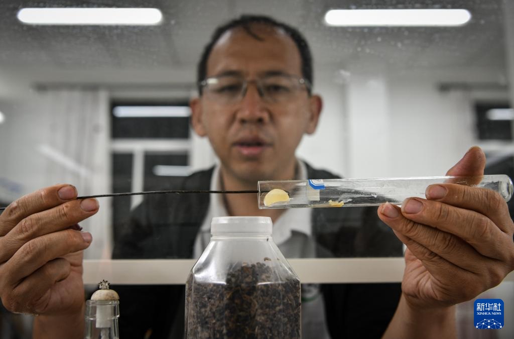 ??????? ?????? ???????? ??????????? ???????? ??????? ??? ????? ???????