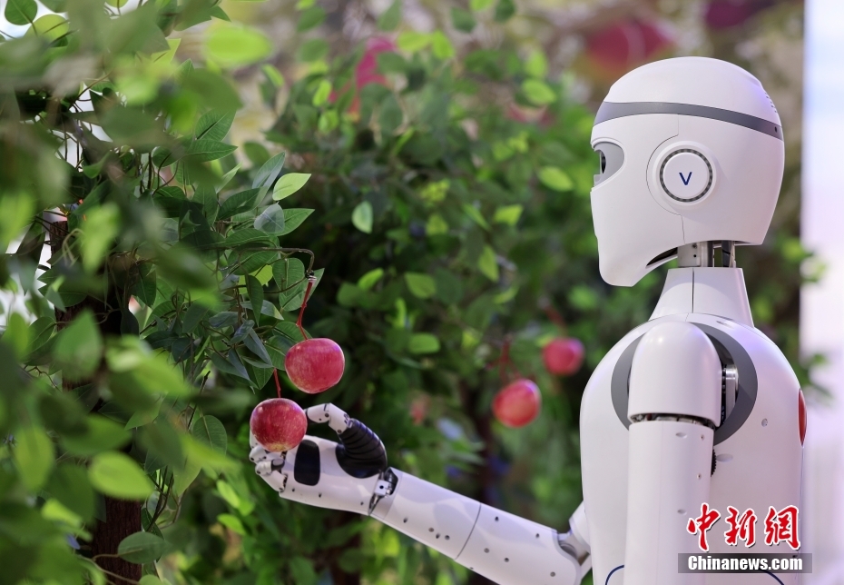 ?????? ??????? ??????? ??????? ???? 2024 ?? ??? ?????? ?? ???????? ????????