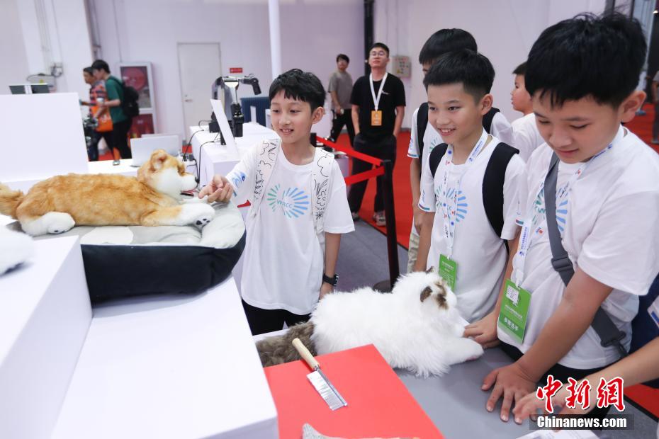 ?????? ??????? ??????? ??????? ???? 2024 ?? ??? ?????? ?? ???????? ????????