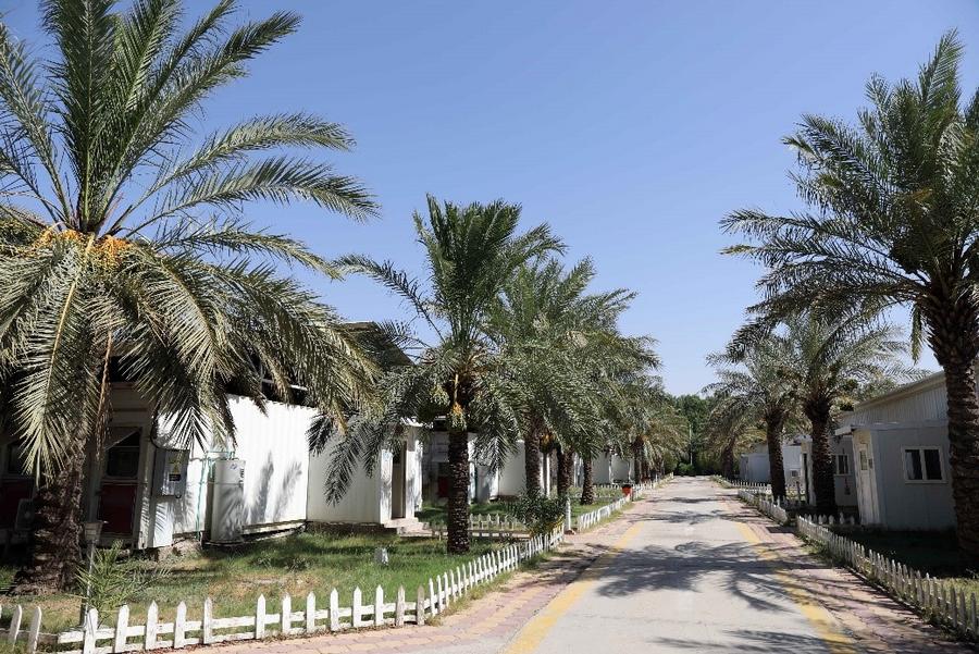 ????? : ???? ??? ????? ???? ??????? ??????? ?? ??? ?????? ?????? ???????