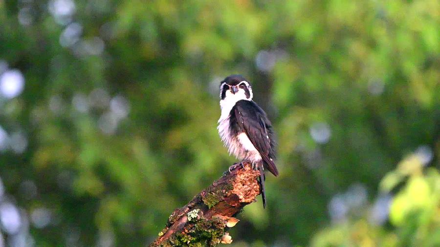 ?????: ???? ????? ????? ???? ???? ?? ?????? ?????? ??????