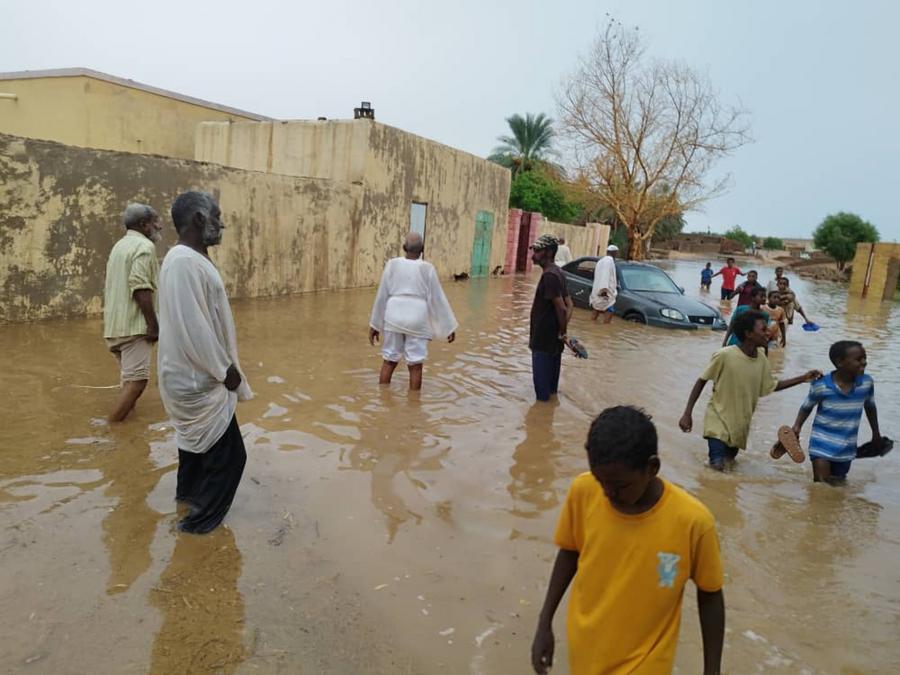 ????? ??????: ??????? ??????? ???? 11 ????? ????? ????? 173 ???? ?? ???????